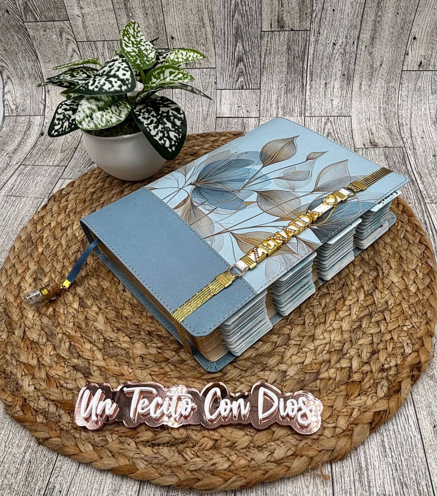 BIBLIA DE LA MUJER CONFORME AL CORAZON DE DIOS (NUEVA)