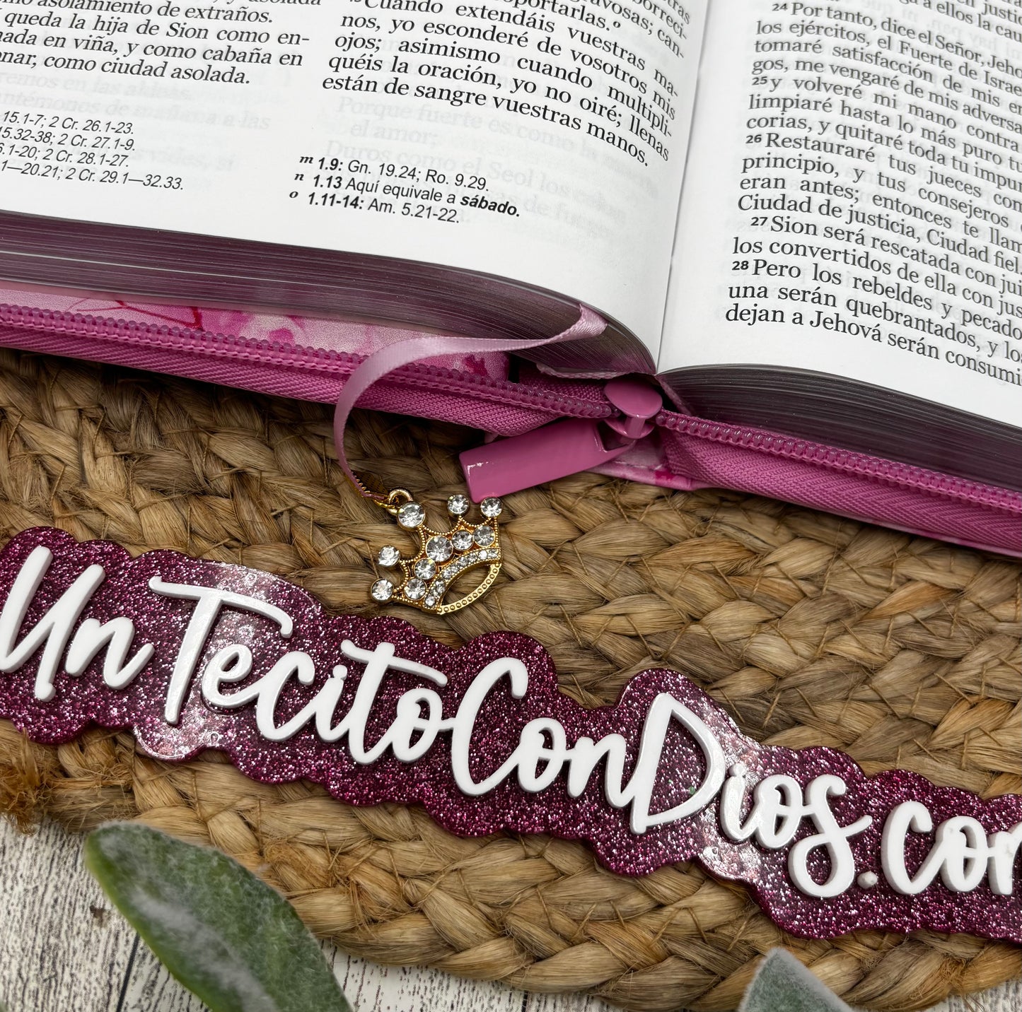 BIBLIA  LETRA  GRANDE 12 PUNTOS FONDO ROSA CON CIERRE (ZIPPER)