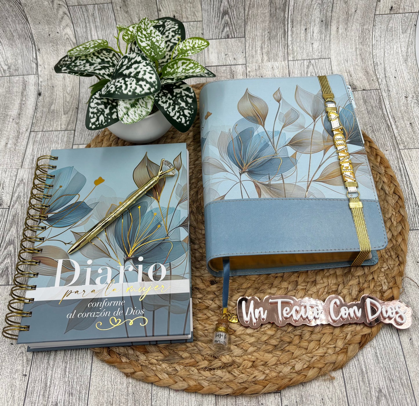 BIBLIA DE LA MUJER CONFORME AL CORAZON DE DIOS (NUEVA)