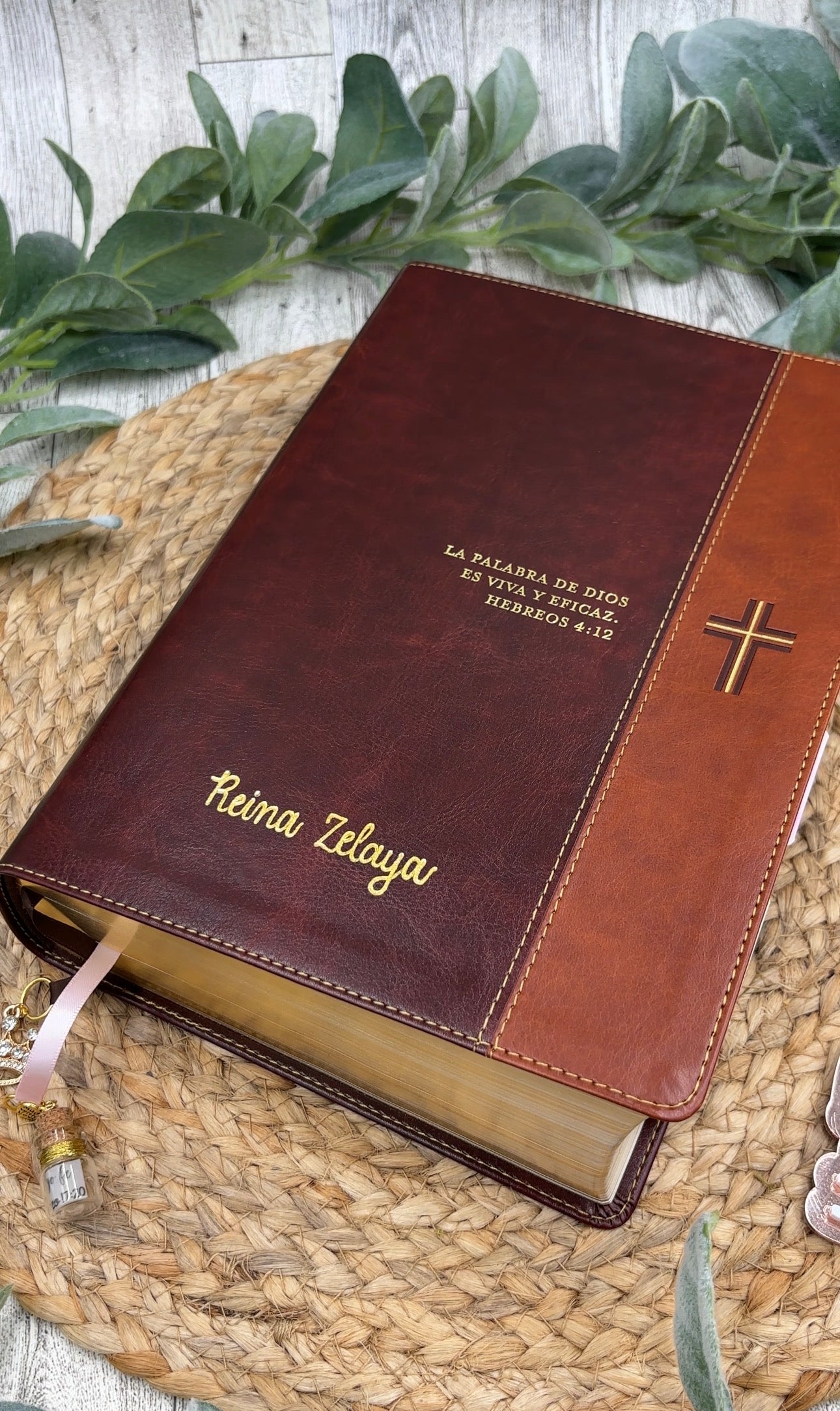 BIBLIA DE ESTUDIO DEL DIARIO VIVIR RV 1960 LETRA GRANDE