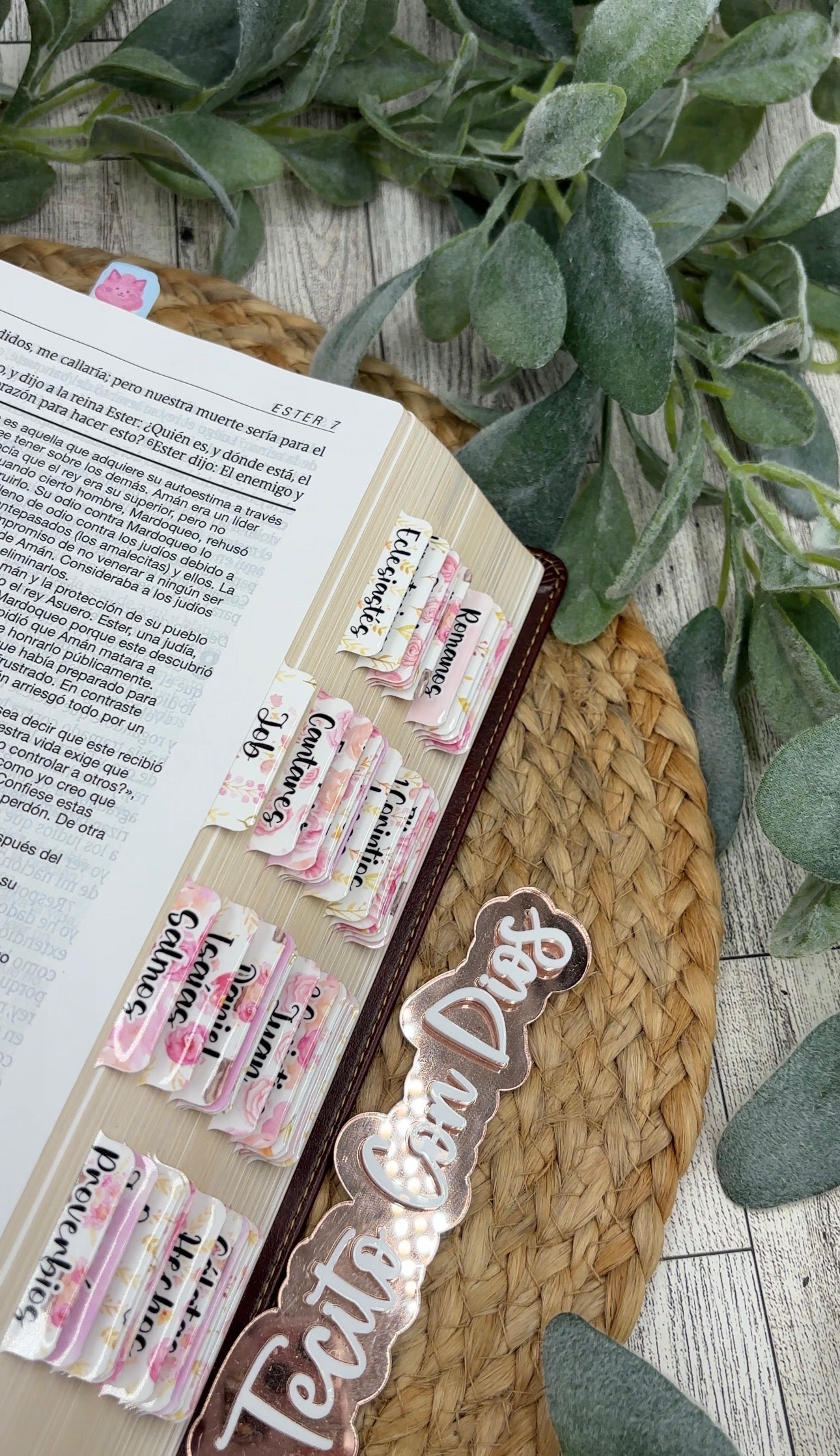 BIBLIA DE ESTUDIO DEL DIARIO VIVIR RV 1960 LETRA GRANDE