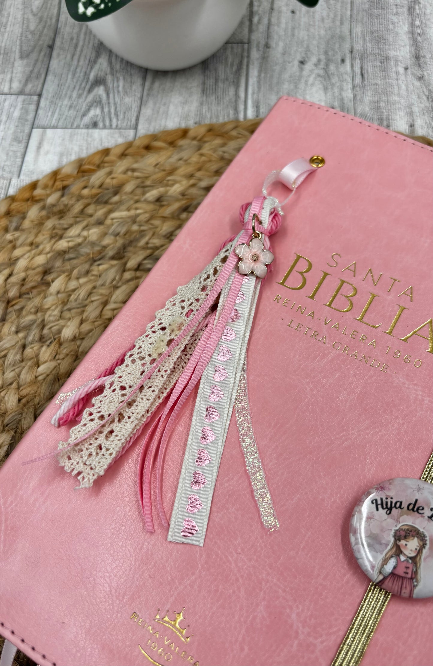 BIBLIA HIJA DE DIOS