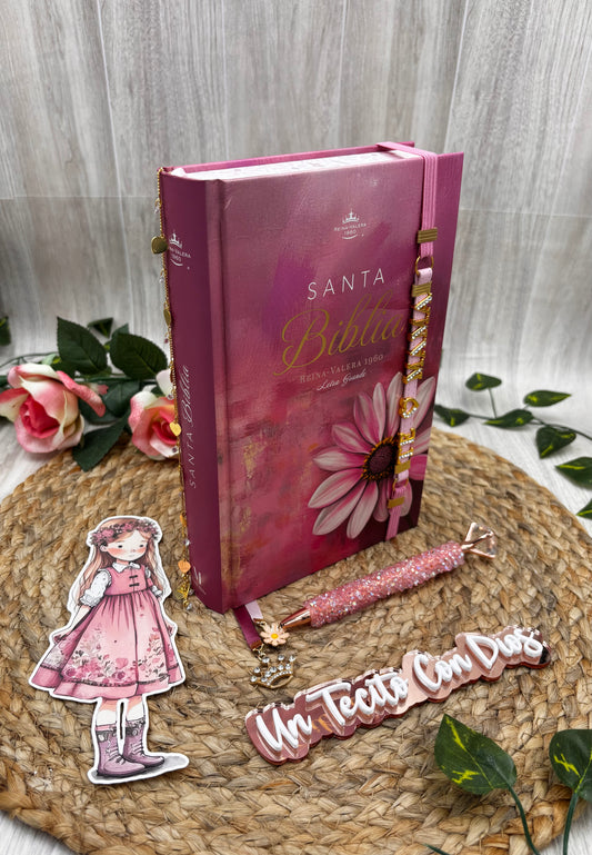 BIBLIA ROSADA PARA MAMÁ 12 PUNTOS