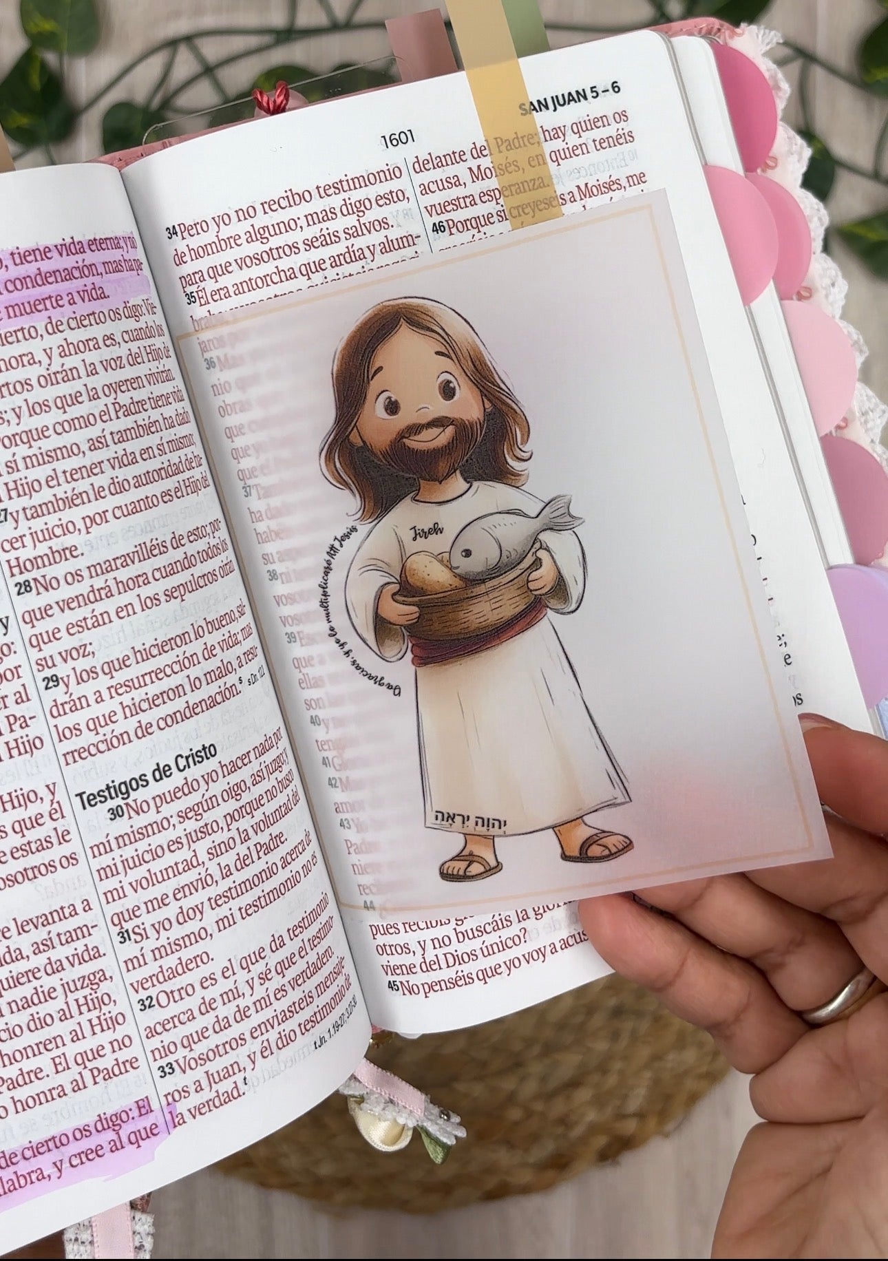 BIBLIA DE ORACION BELINDA PORTATIL LETRA 12 PUNTOS
