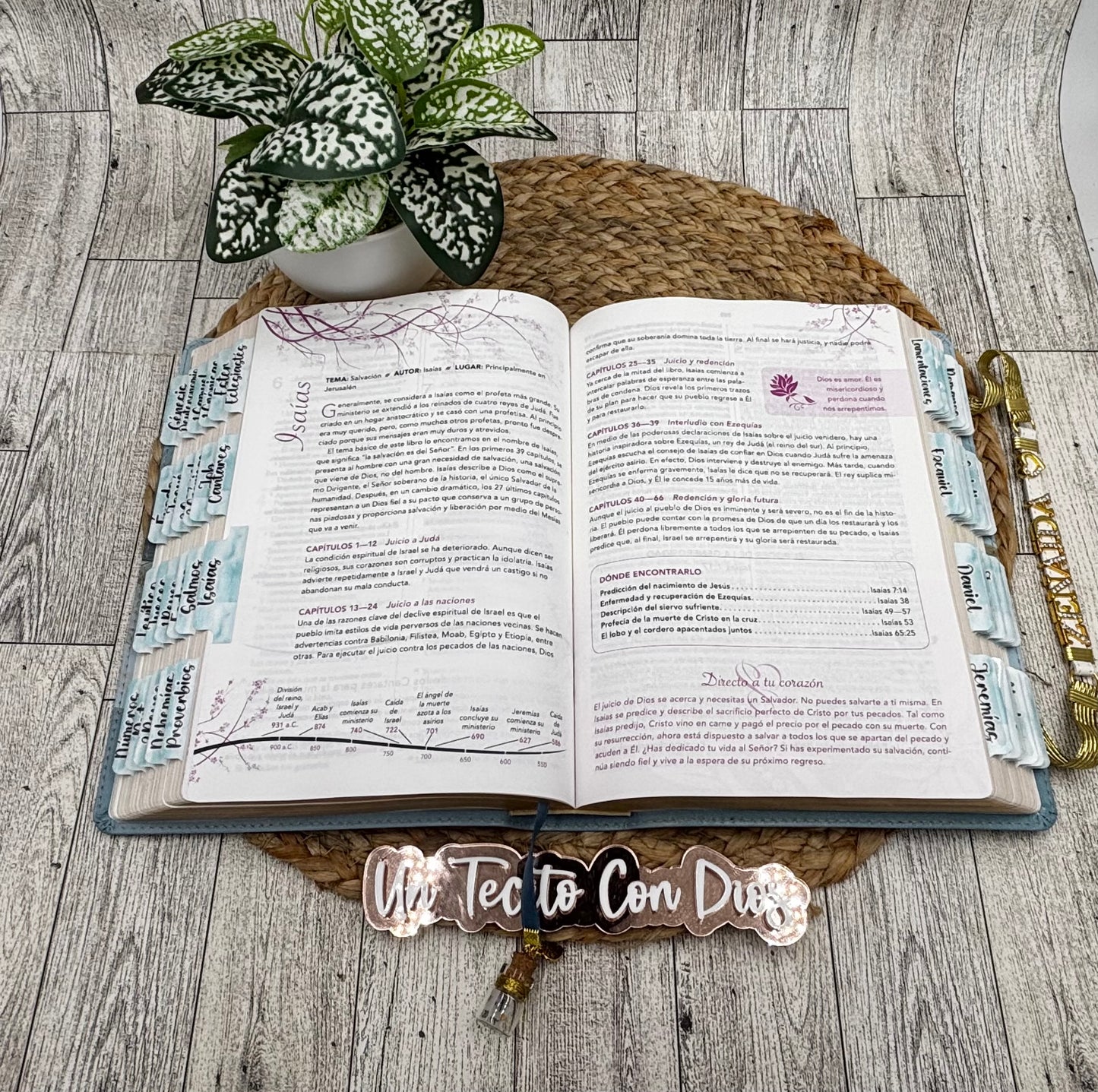 BIBLIA DE LA MUJER CONFORME AL CORAZON DE DIOS (NUEVA)