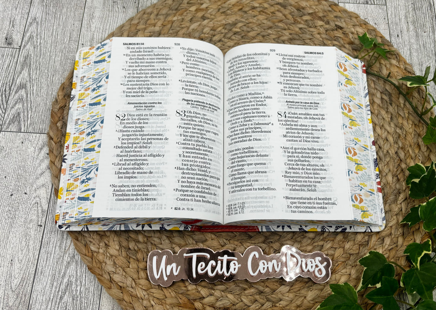 BIBLIA COMPACTA LETRA 11 PUNTOS - ANARANJADA