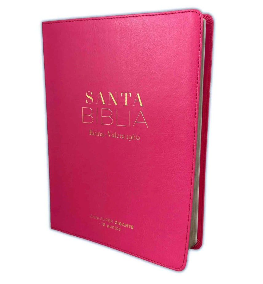 BIBLIA REINA VALERA 1960 LETRA SUPERGIGANTE 19 PUNTOS