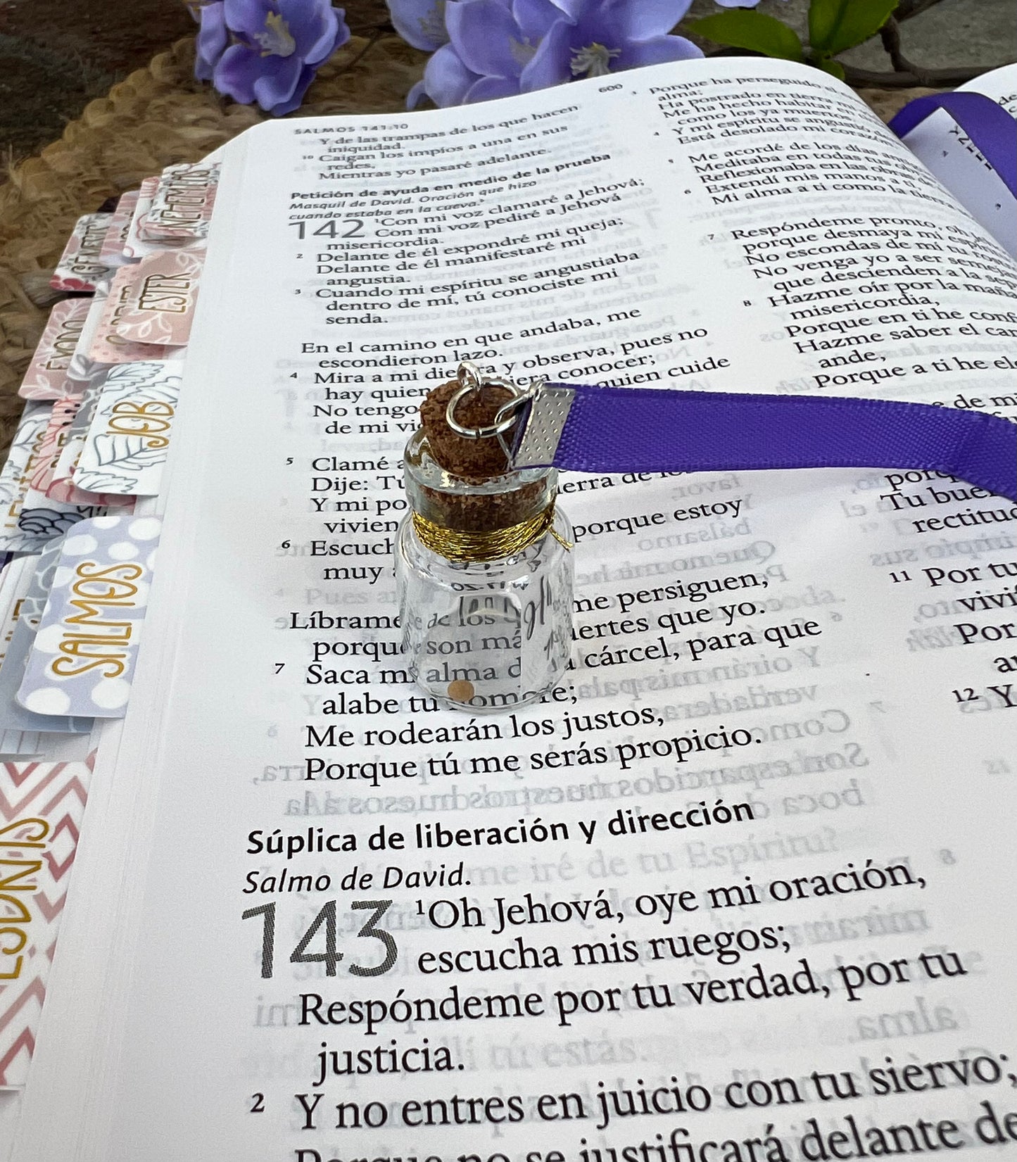 BIBLIA RV1960 TELA MORADA