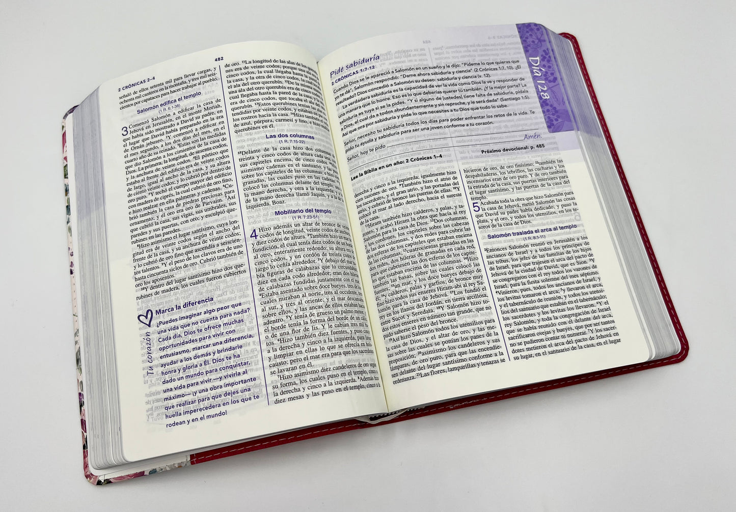 Biblia de La Joven  conforme al Corazon de Dios