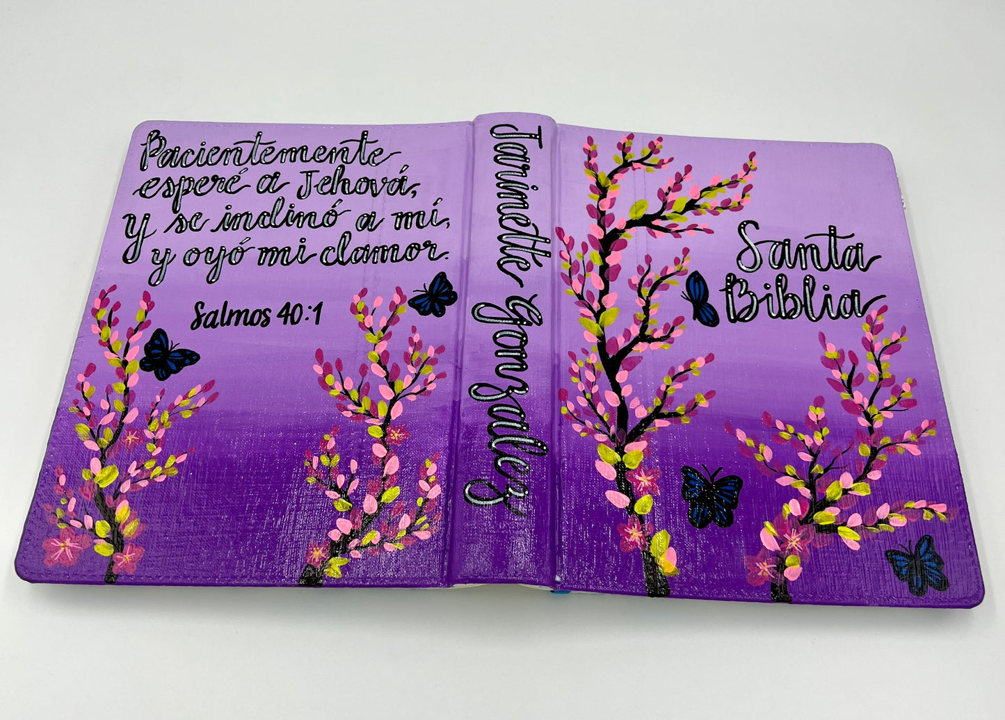 BIBLIA DE APUNTES EDICION ILUSTRADA (RV 1960) PINTADA A MANO 2026
